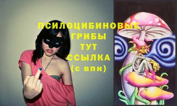прущие крисы Баксан